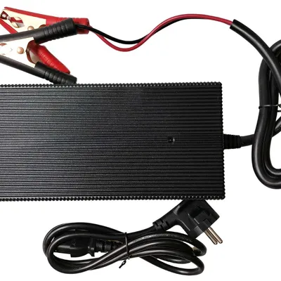 Ładowarka 230V/20A Renogy