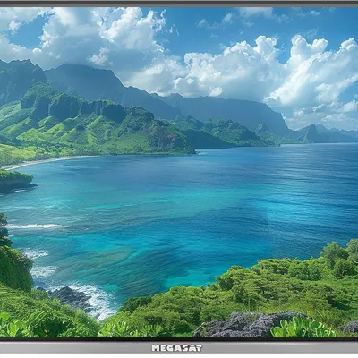 Telewizor Megasat Royal V 22" Smart TV