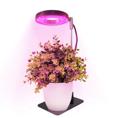 Lampa do roślin LED VERDI V2 5W 1300K czarna