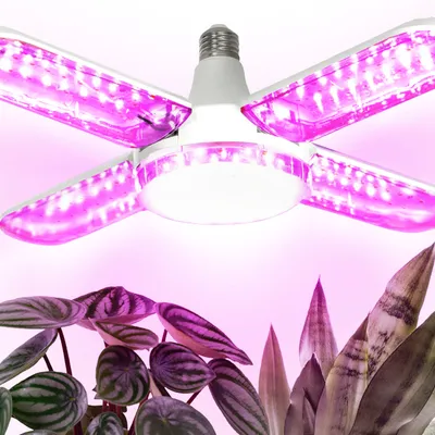 Żarówka do roślin LED PLANTY 40W E27 1200K