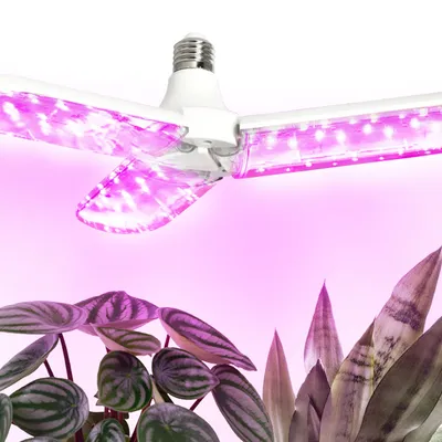 Żarówka do roślin LED PLANTY 24W E27 1200K