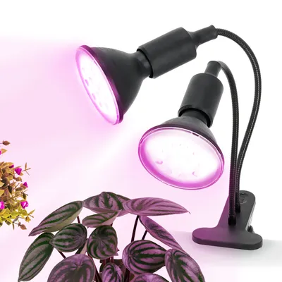 Lampka biurkowa PLANTY CLIP B DUO 2xE27 czarna