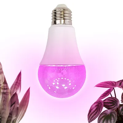 Żarówka do roślin LED PLANTY GS 11W E27 1200K