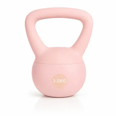 Kettlebell 2,5 kg miękki do ćwiczeń | Odważnik treningowy z wypełnieniem piaskowym i uchwytem | Do treningu siłowego, fitness i ogólnorozwojowego |FT