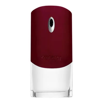 Givenchy pour Homme woda toaletowa 100 ml