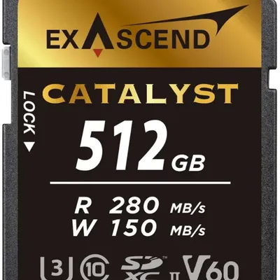 Karta pamięci SD ExAscend Catalyst SD UHS-II V60 - 512GB