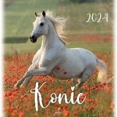 Kalendarz 33x33cm Konie /Artsezon