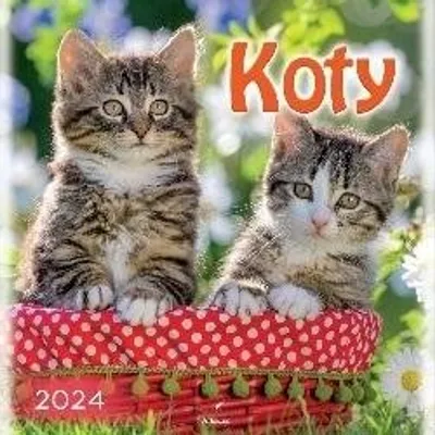 Kalendarz 33x33cm Koty /Artsezon