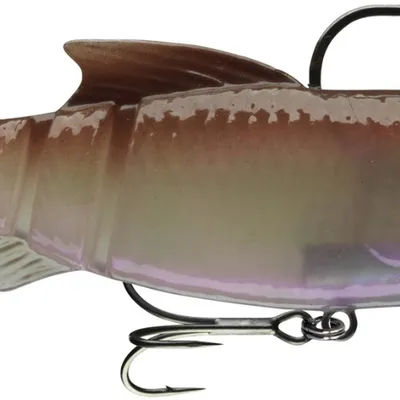 Przynęta gumowa Daiwa Prorex Lazy Roach RD