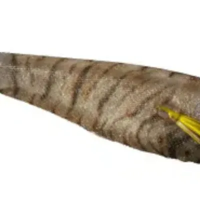 Przynęta Egi Shimano Sephia Sui Sui Stick