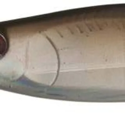 Pilker Aquantic Perfo