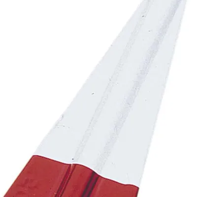 Ciężarek śledziowy Aquantic