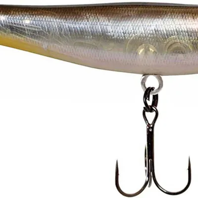 Wobler Megabass Dog-X Jr.Coayu F