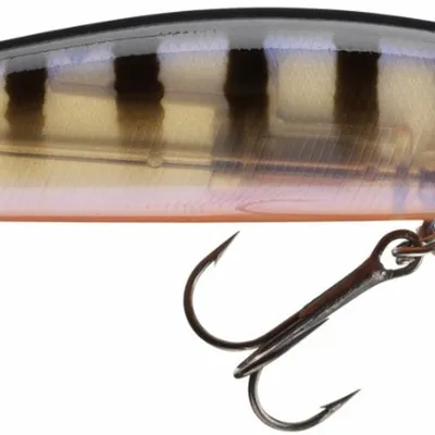 Wobler Daiwa Tournament Current Master DR
