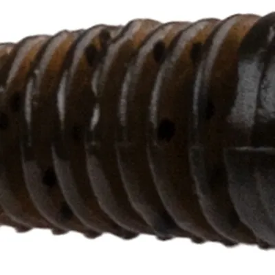 Przynęta gumowa Mikado M Craft Wiggly Worm