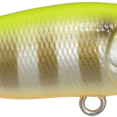 Popper Megabass Baby PopX F