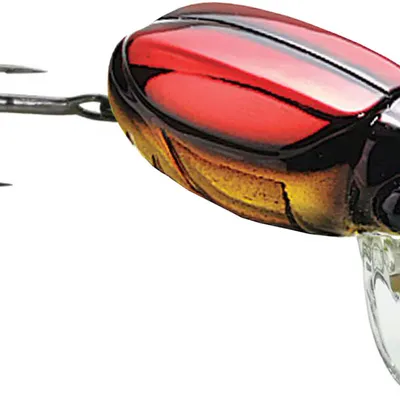 Wobler biedronka Bassday Bun 30F