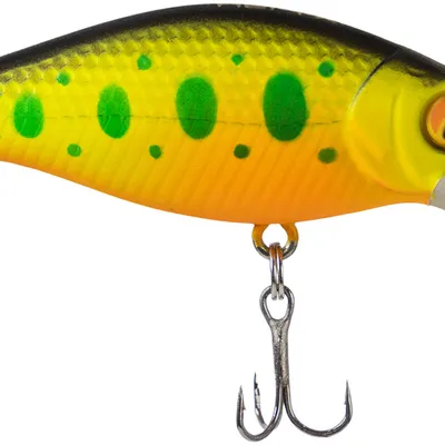 Wobler X-Fish Chipotel 50F