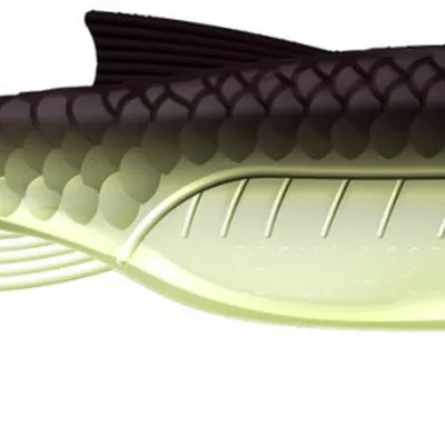 Przynęta gumowa Libra Kraken Shad