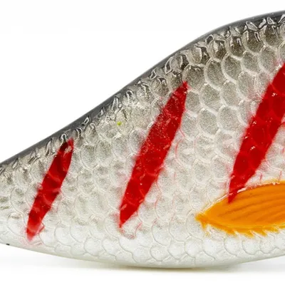 Wobler Kaszub Bait Jerk Danire