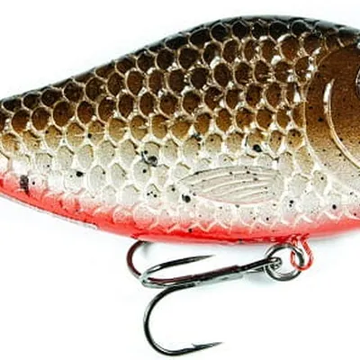 Wobler Kaszub Bait Jerk Danire
