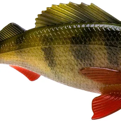 Przynęta gumowa Mikado Mft Perch