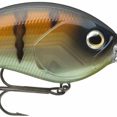 Wobler Daiwa Steez Crank