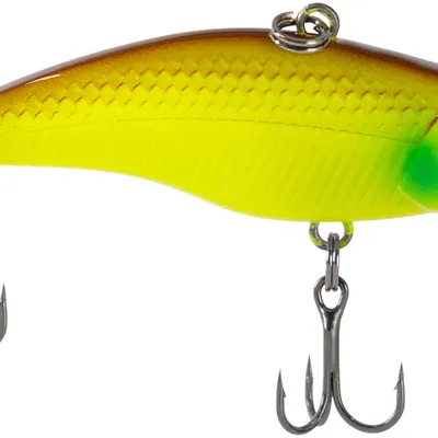 Cykada X-Fish Vibboy 50S