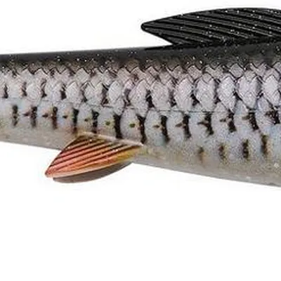 Przynęta gumowa Abu Garcia SZ McPike
