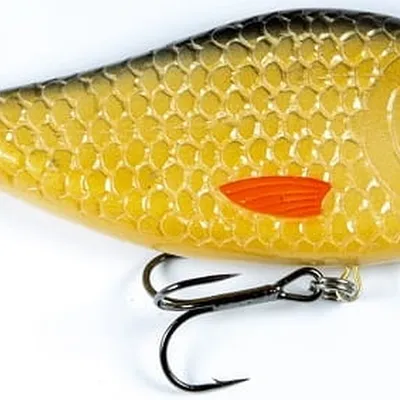 Wobler Kaszub Bait Jerk Danire
