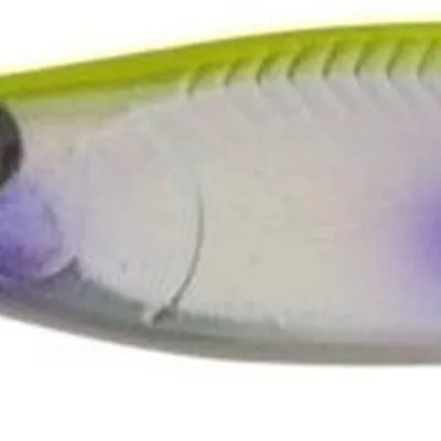Pilker Aquantic Perfo