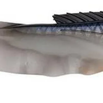 Przynęta gumowa Abu Garcia Beast Curltail