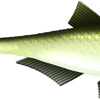 Przynęta gumowa Libra Bleak Slug Tail