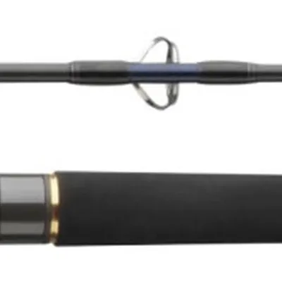 Wędka Daiwa Salta Jigging