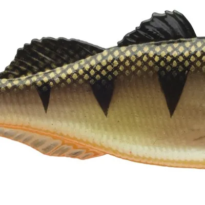 Przynęta gumowa Daiwa Prorex Live Perch