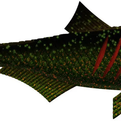 Przynęta gumowa Libra Dead Fish