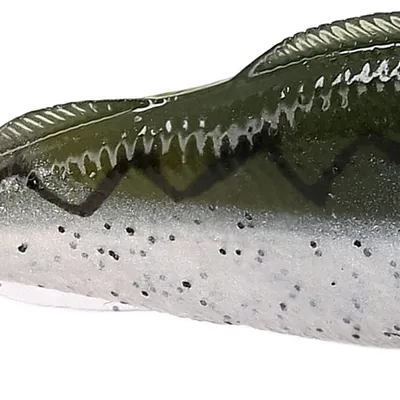 Przynęta gumowa Mikado Real Fish Perch