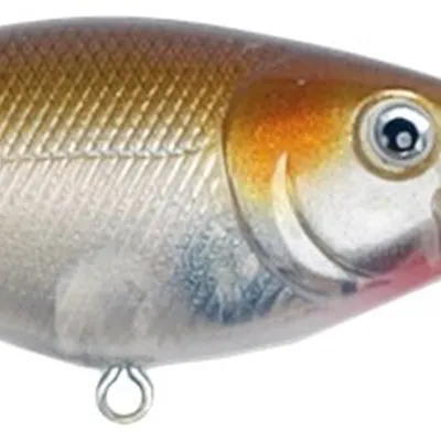 Wobler Konger Jointed Roach