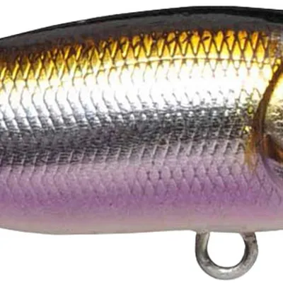 Popper Megabass Baby PopX F