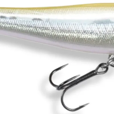 Wobler Megabass Dog-X Jr.Coayu F