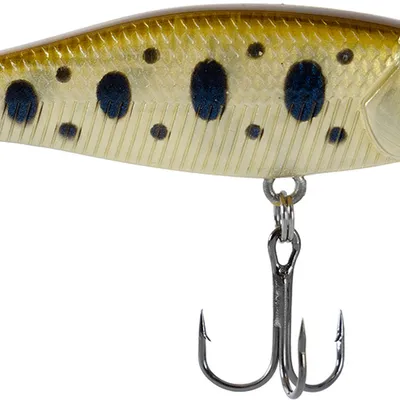 Wobler X-Fish Dude 70SP