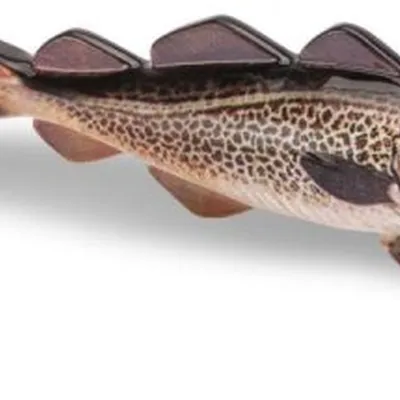 Otwieracz Aquantic Beauty Cod-Dorsch Opener
