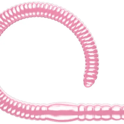 Przynęta gumowa Libra Flex Worm Junior