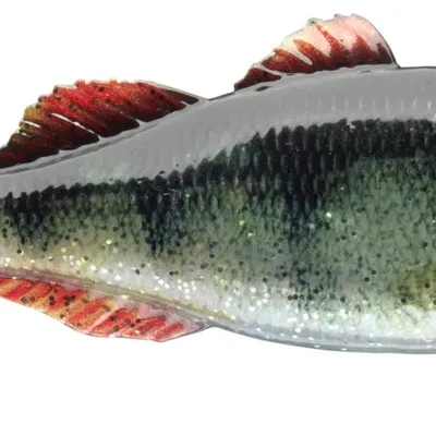 Przynęta gumowa Daiwa Prorex Live Perch