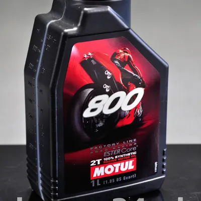 MOTUL 800 2T FL ROAD RACING 1 L