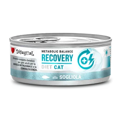Disugual Karma mokra dla kota Weterynaryjna RECOVERY Sola (dorosły) 85g