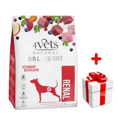 DOLINA NOTECI 4Vets Natural Renal karma suszona dla psów z niewydolnością nerek 1kg + niespodzianka dla psa GRATIS!