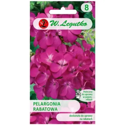Pelargonia rabatowa Gama F1 - fioletowa