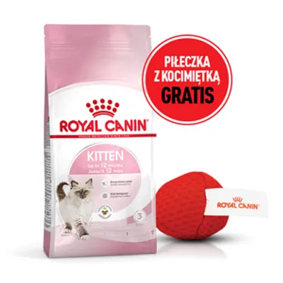 ROYAL CANIN Kitten 10kg | Darmowa dostawa