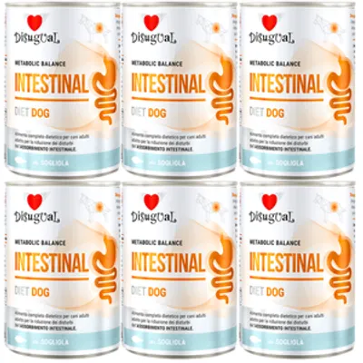 Disugual Karma mokra dla psa Weterynaryjna INTESTINAL Sola (dorosły) 6x400g